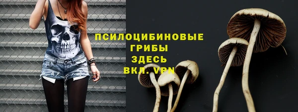 2c-b Алексин