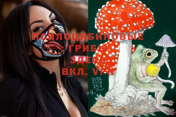 бутират Алзамай