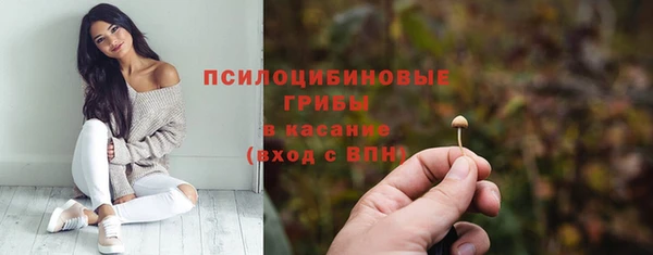 2c-b Алексин
