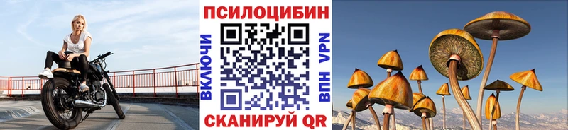 Галлюциногенные грибы Psilocybine cubensis  Отрадная 